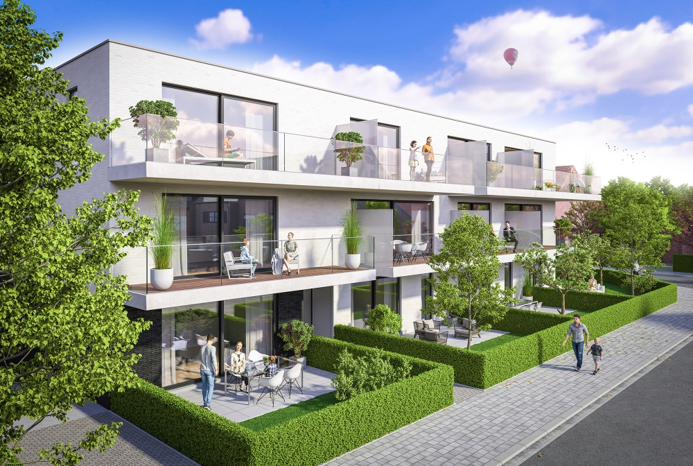 Conscience - Beveren