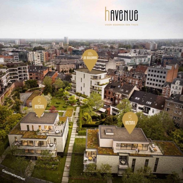 Havenue - Hasselt